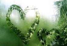 切尔西抢先晋级，欧冠八强已在视野